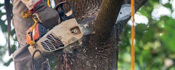 Best Lawn Drainage Solutions  in Patterson Tract, CA